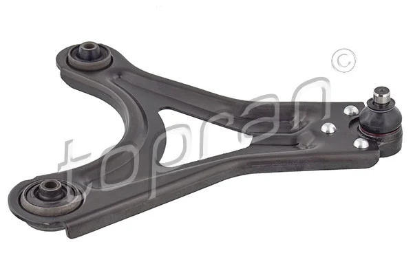 Control/Trailing Arm, wheel suspension (300 069)