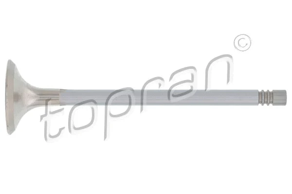 Exhaust Valve (110 202)