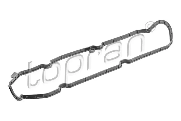 Gasket, cylinder head cover (304 795)