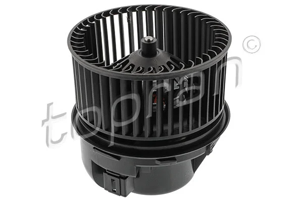 Interior Blower (305 744)