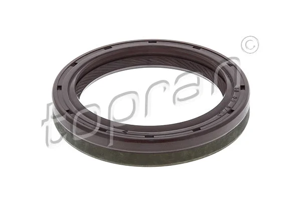 Shaft Seal, camshaft (201 283)
