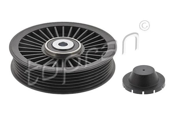 Deflection/Guide Pulley, V-ribbed belt (205 756)