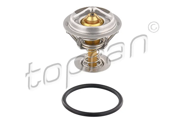 Thermostat, coolant (304 519)