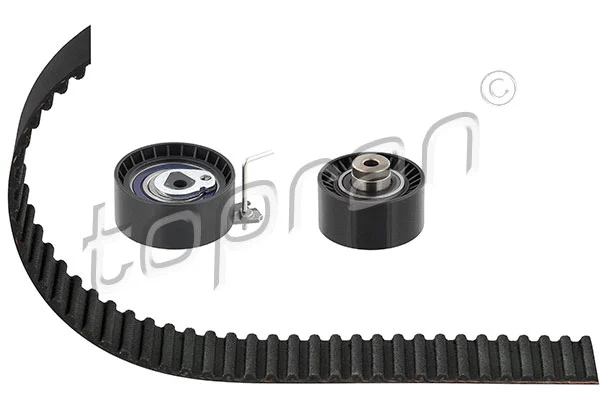 Timing Belt Kit (722 797)