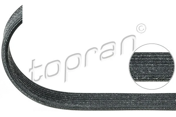 V-Ribbed Belt (100 124)