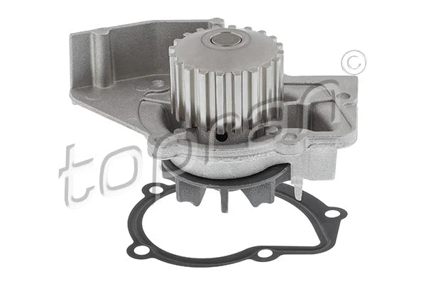 Water Pump, engine cooling (720 164)