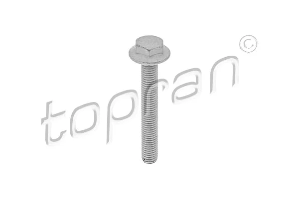 Screw (115 806)
