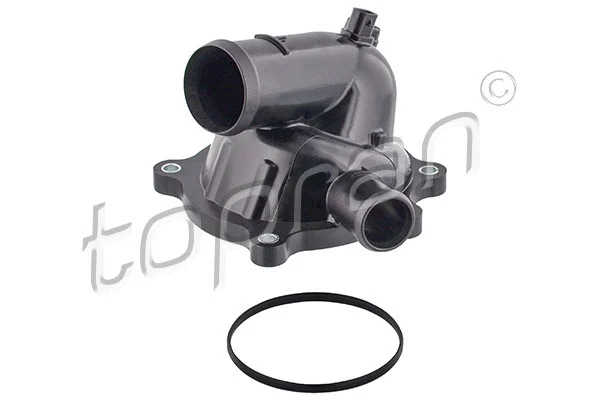 Thermostat, coolant (113 294)