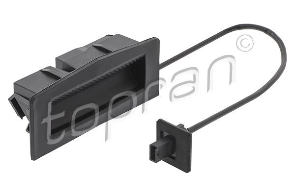 Tailgate Handle (209 388)