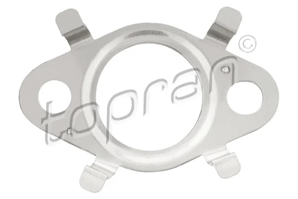 Gasket, EGR valve (117 916)