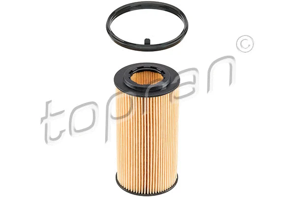 Oil Filter (110 054)