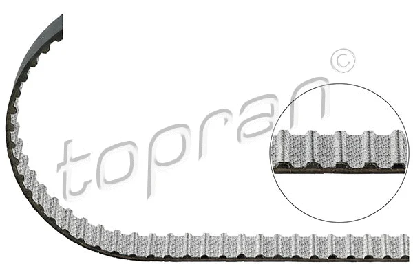 Timing Belt (304 924)