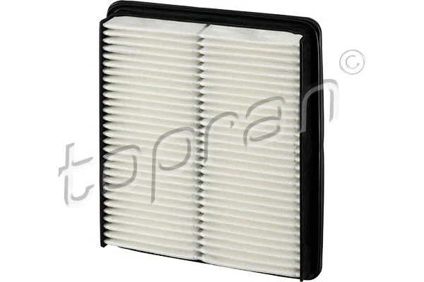 Air Filter (820 211)