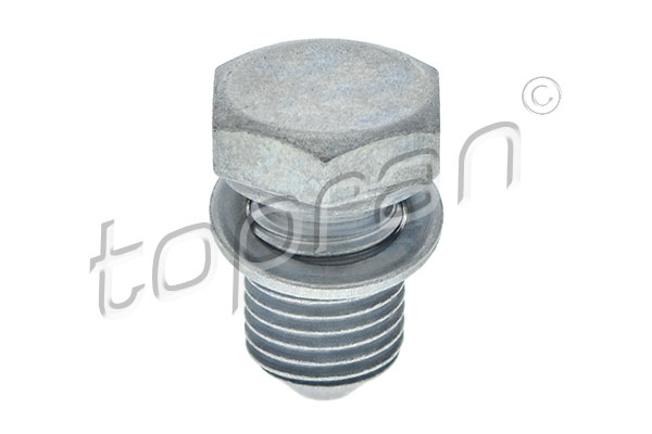 Screw Plug, oil sump (109 035)