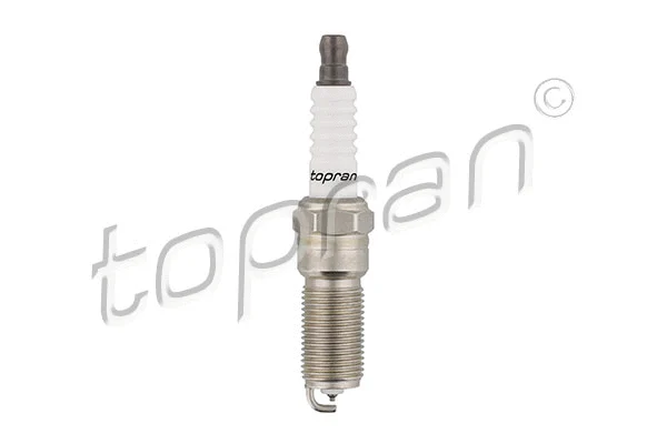Spark Plug (300 845)