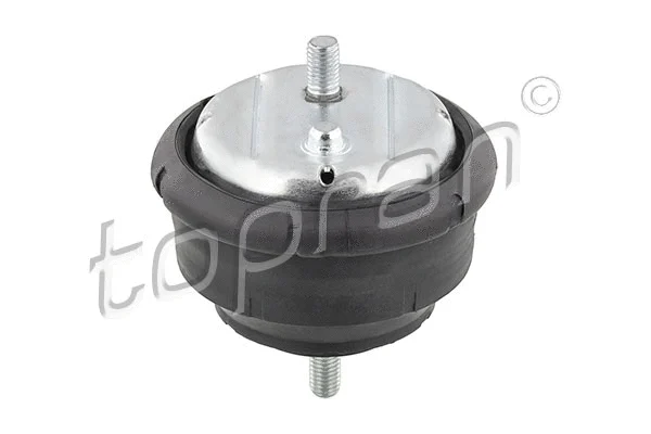 Mounting, engine (500 279)