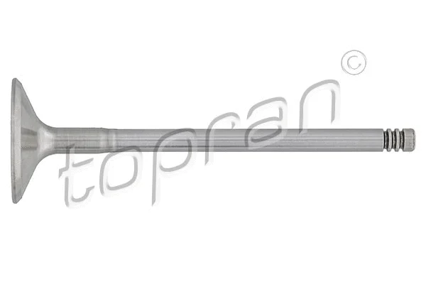 Intake Valve (201 245)