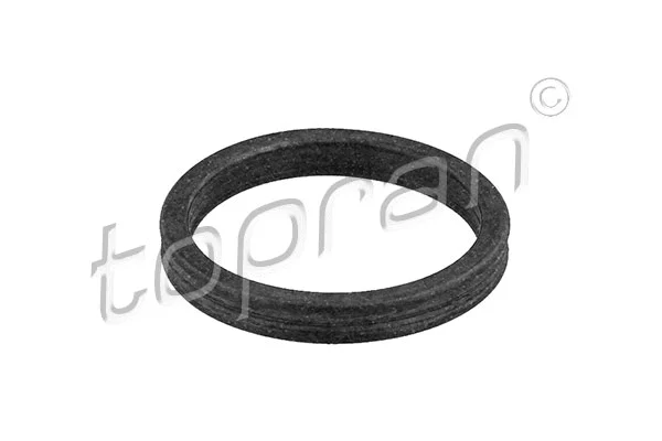 Gasket, coolant pipe (109 638)