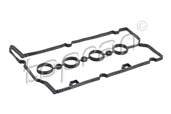 Gasket, cylinder head cover (207 621)