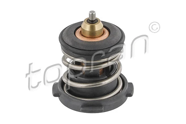 Thermostat, coolant (638 754)