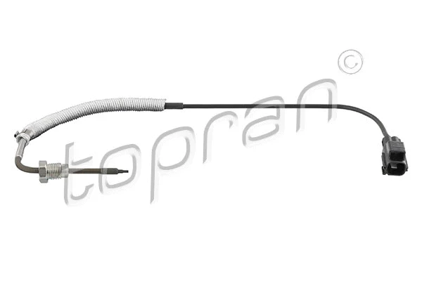 Sensor, exhaust gas temperature (638 573)