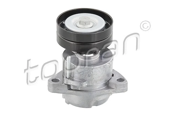 Tensioner Pulley, V-ribbed belt (205 736)