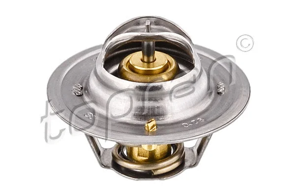 Thermostat, coolant (301 690)
