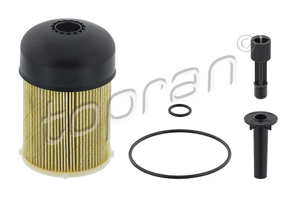 Fuel Filter (701 650)