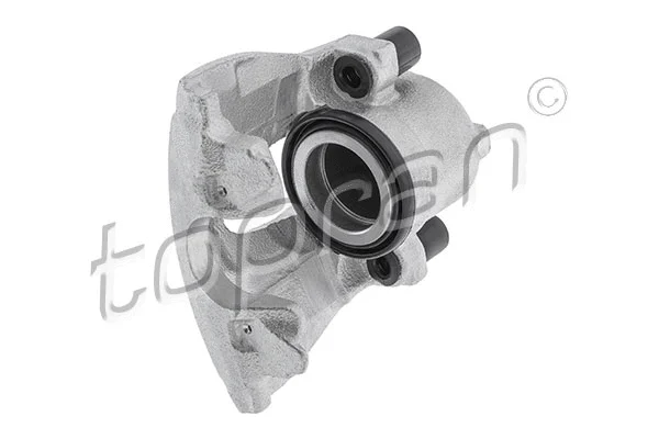 Brake Caliper (631 409)