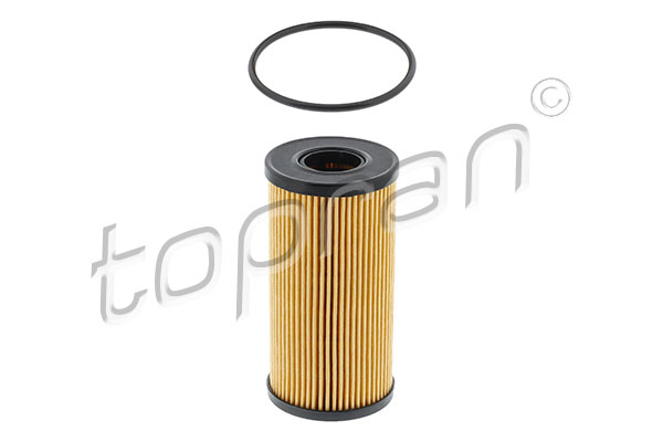 Oil Filter (207 726)