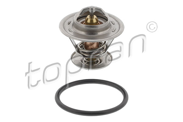 Thermostat, coolant (100 573)