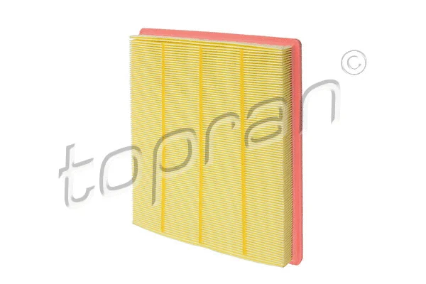 Air Filter (207 720)