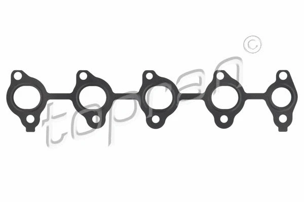 Gasket, exhaust manifold (301 861)