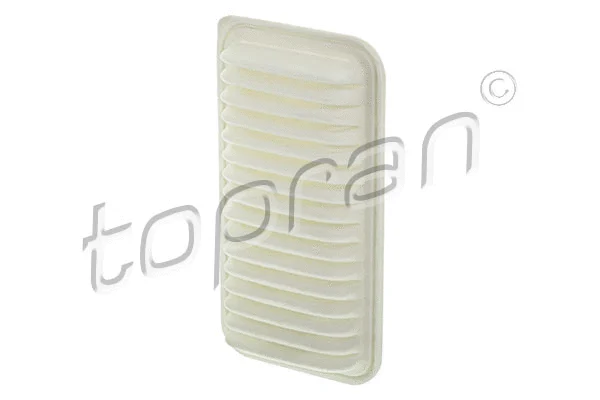 Air Filter (600 007)