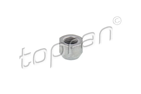 Wheel Nut (304 596)