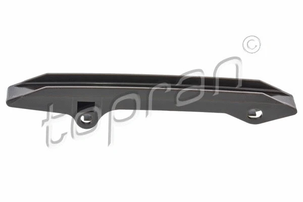 Guide, timing chain (502 603)