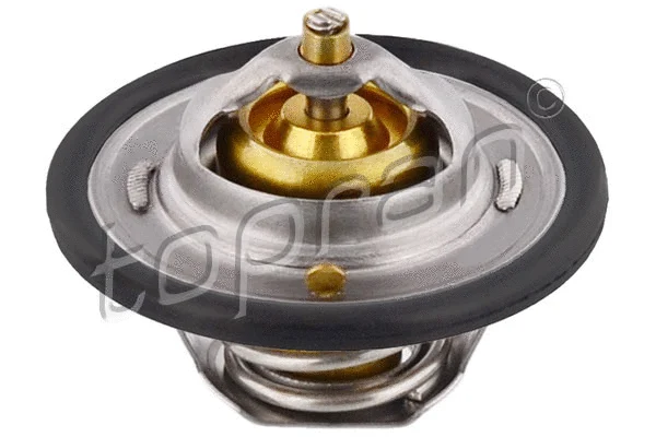 Thermostat, coolant (300 030)