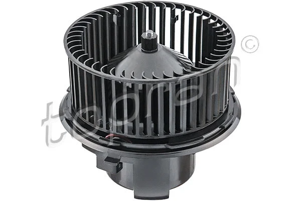 Interior Blower (304 285)