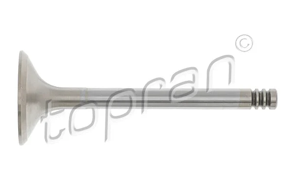 Intake Valve (100 309)