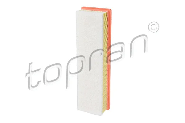 Air Filter (722 301)
