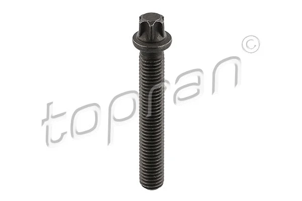 Pulley Bolt (503 682)