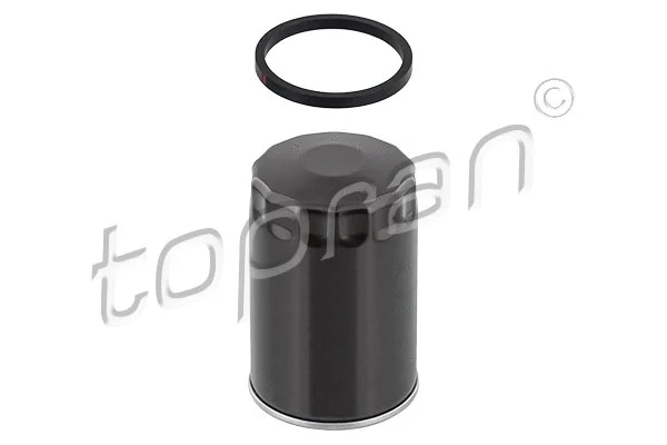 Oil Filter (100 653)