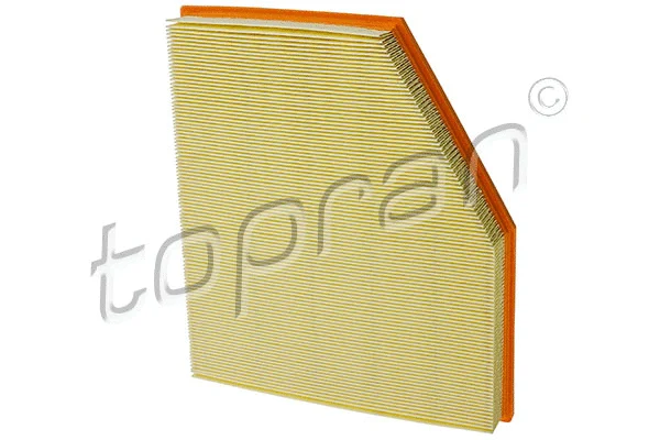 Air Filter (501 307)