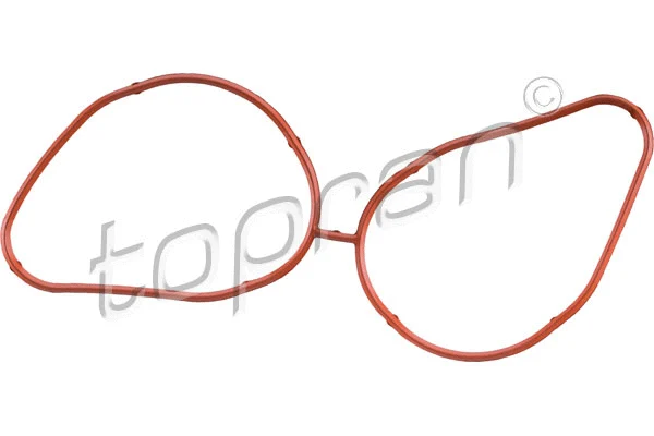 Gasket, intake manifold (208 173)