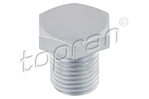 Screw Plug, oil sump (601 137)
