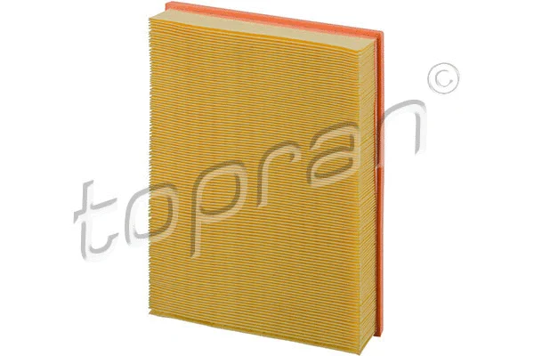 Air Filter (113 879)