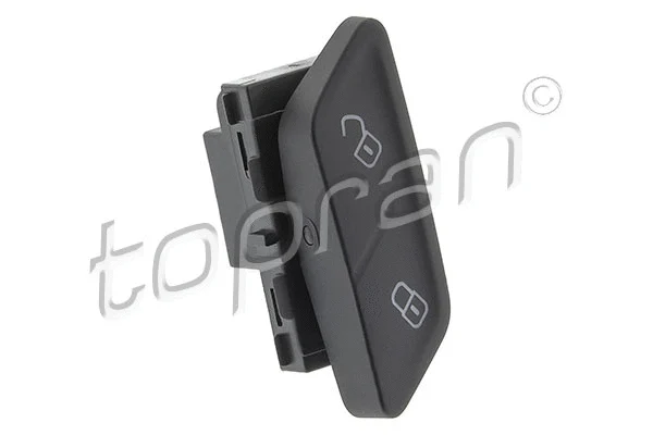 Switch, door lock system (119 558)