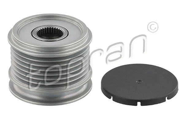 Alternator Freewheel Clutch (408 391)