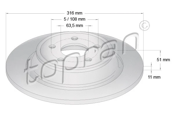 Brake Disc (305 101)