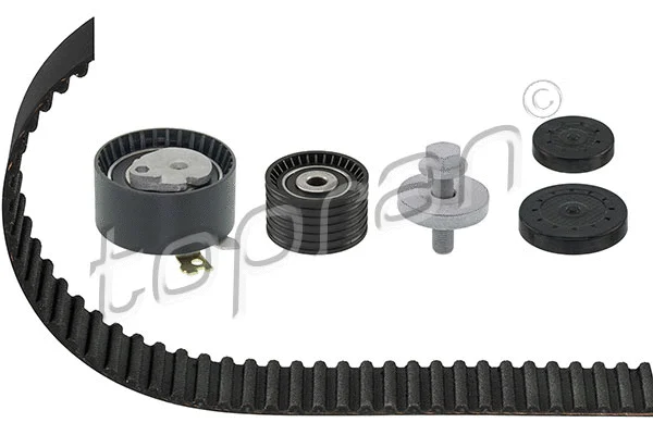 Timing Belt Kit (700 195)